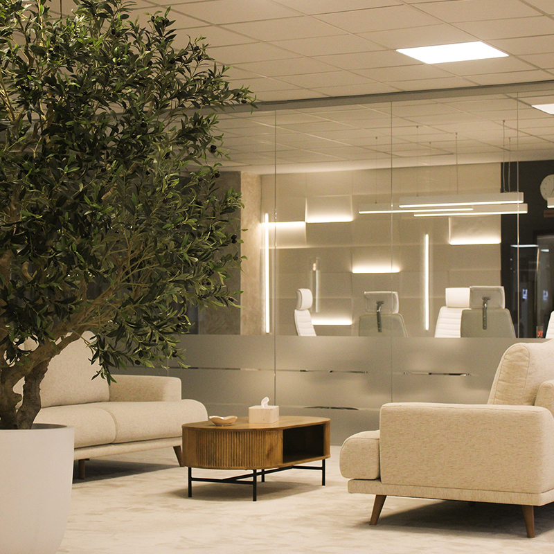 Business Area