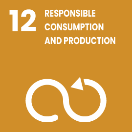 Responsible Consumption and Production